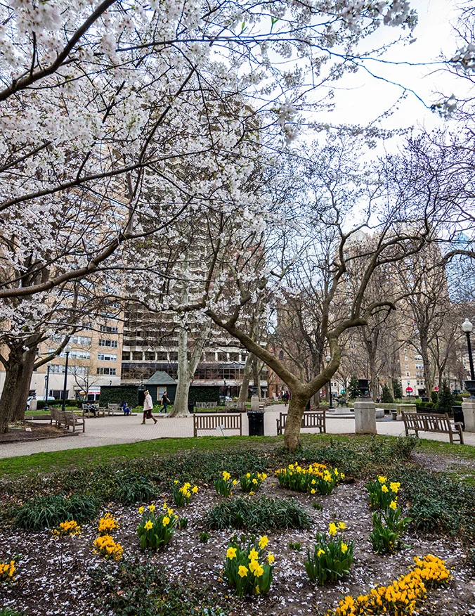 out-of-town-recovery